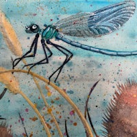 a painting of a dragonfly perched on a plant